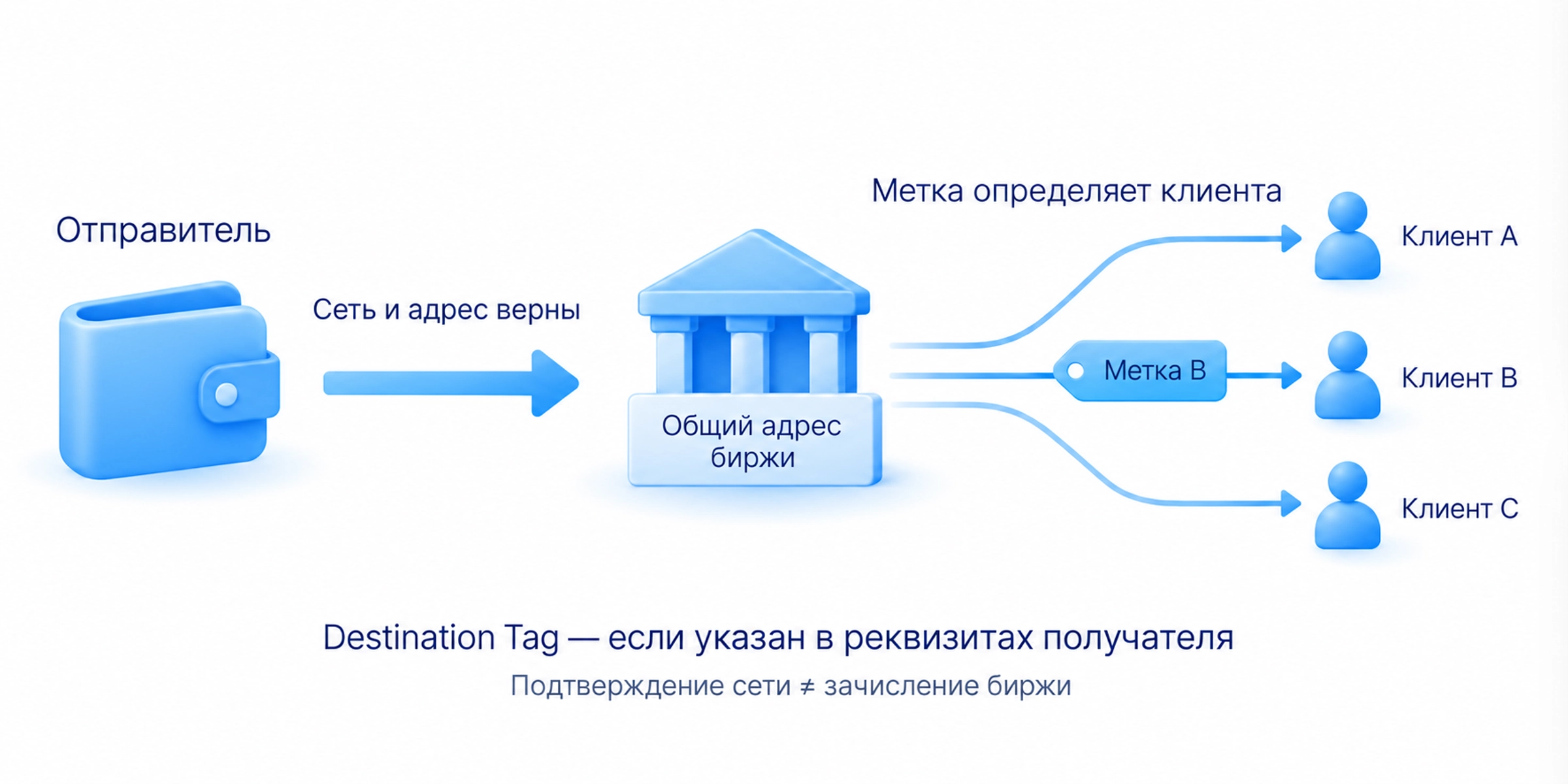 Перед переводом XRP проверяются сеть, адрес и требование Destination Tag; на общем адресе биржи метка определяет назначение клиента, она нужна по правилам получателя